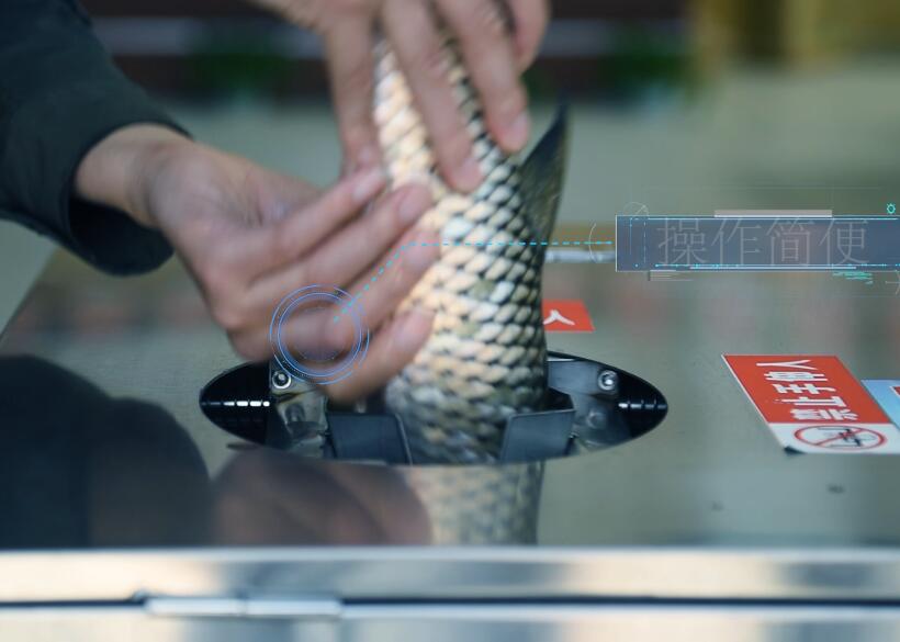 �M����ȥ���_(k��i)�ǚ��~(y��)�C(j��)